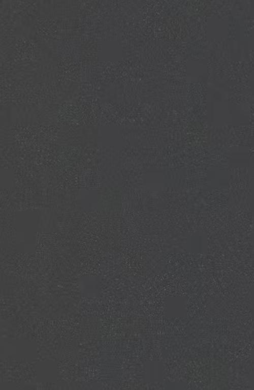 Granalt SNP Black - 800x2400 mm